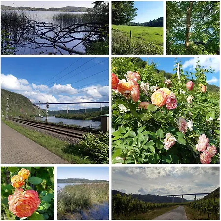 דירה Tinyflat33 In Mit Internet Balkon Stellplatz Magenta Tv *